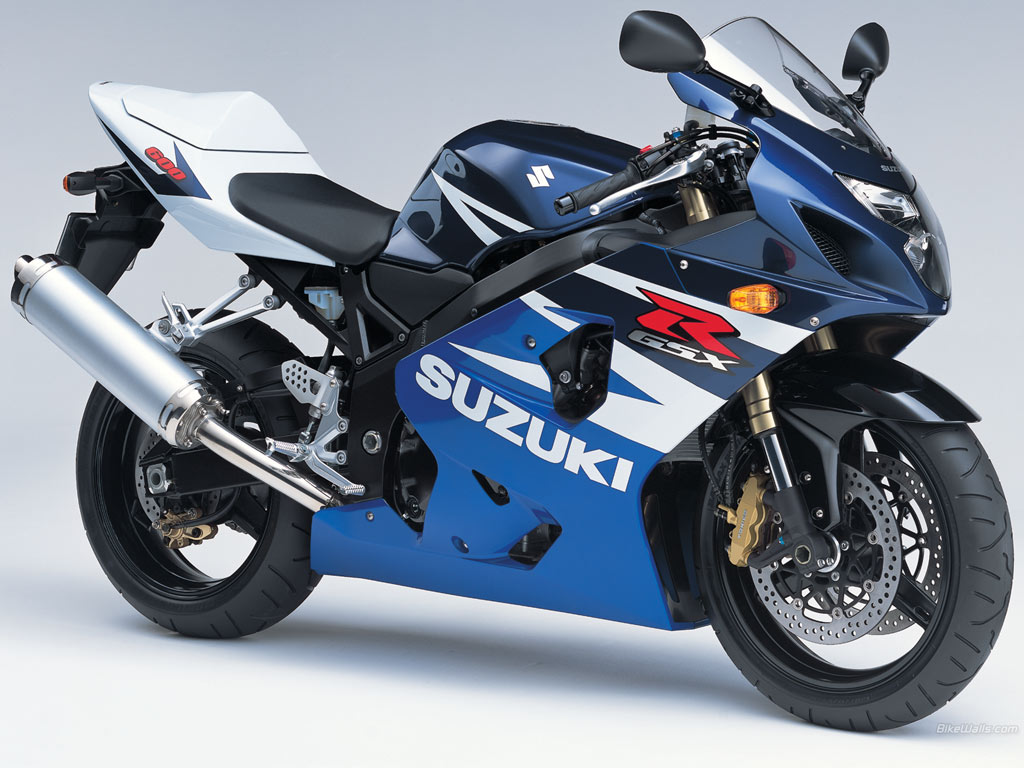 2009 Suzuki GSX R600530219874 - 2009 Suzuki GSX R600 - Suzuki, R600, 500R, 2009
